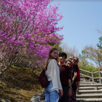 Arashiyama field trip